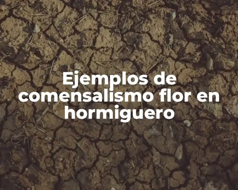 Ejemplos de comensalismo flor en hormiguero