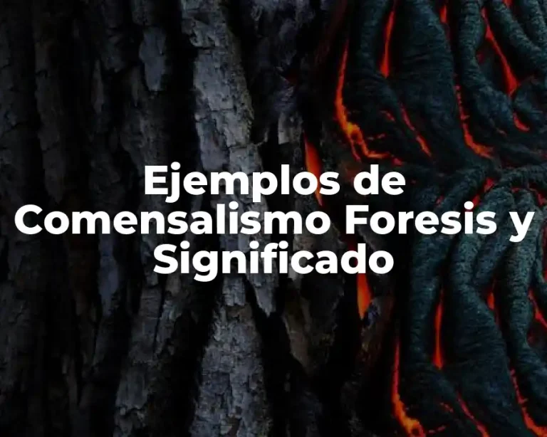 Ejemplos de Comensalismo Foresis y Significado