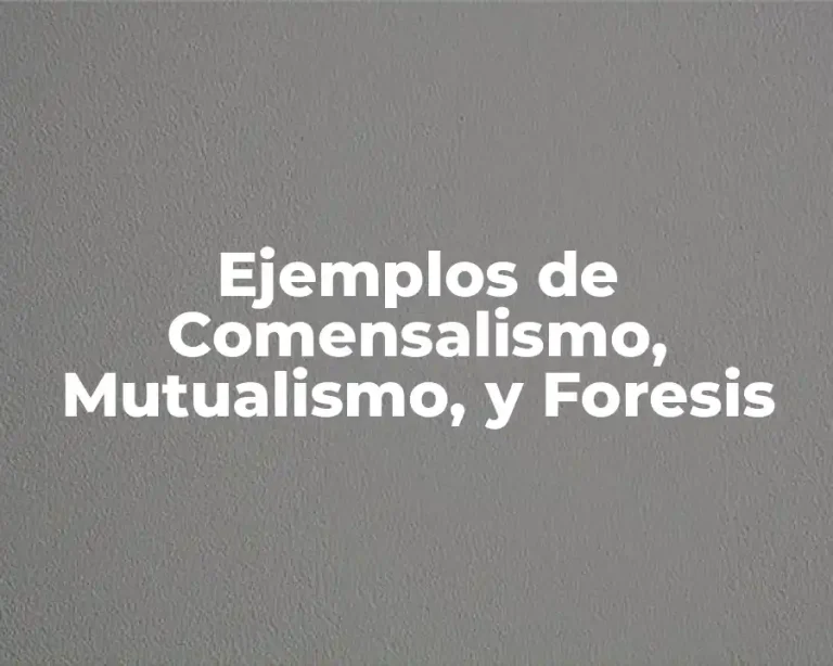 Ejemplos de Comensalismo, Mutualismo, y Foresis