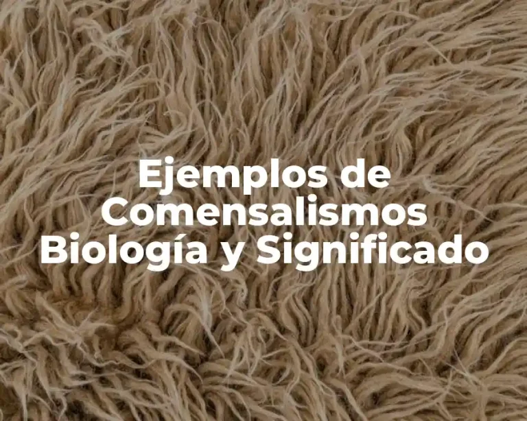 Ejemplos de Comensalismos Biología y Significado