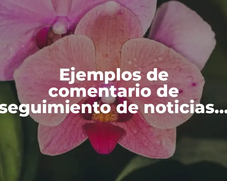 Ejemplos de comentario de seguimiento de noticias y Significado