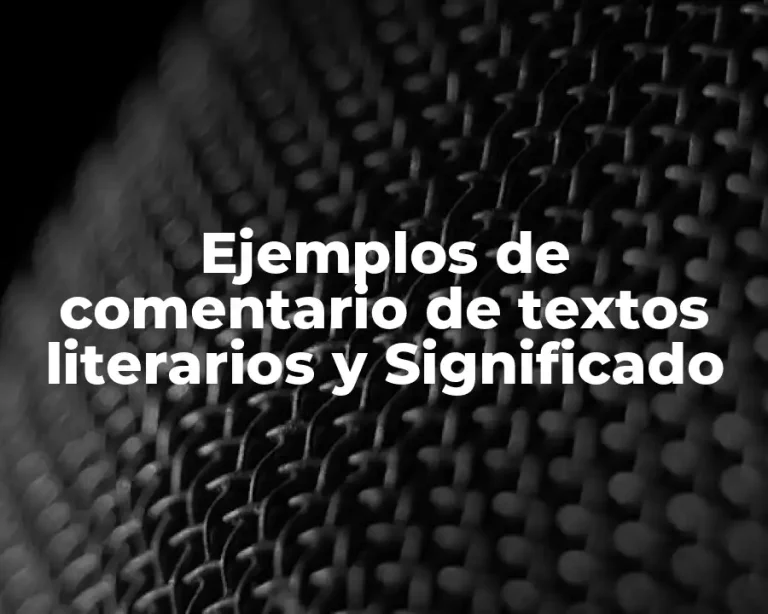 Ejemplos de comentario de textos literarios y Significado