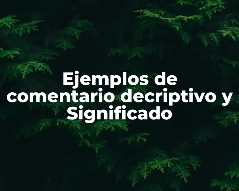 Ejemplos de comentario decriptivo y Significado