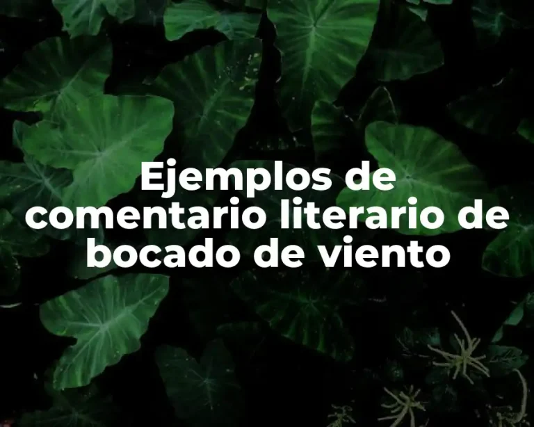Ejemplos de comentario literario de bocado de viento