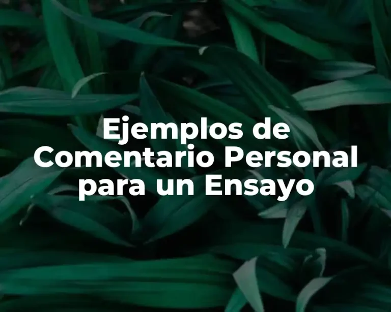 Ejemplos de Comentario Personal para un Ensayo