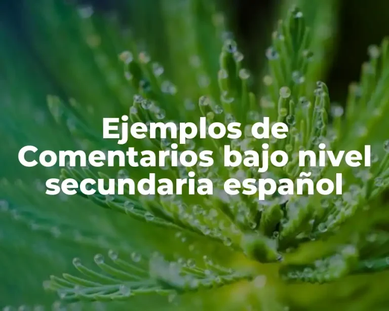 Ejemplos de Comentarios bajo nivel secundaria español