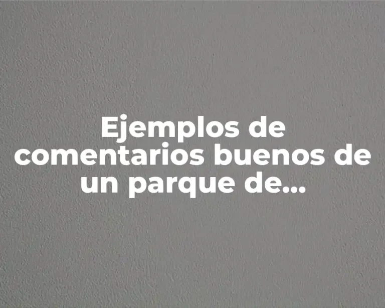 Ejemplos de comentarios buenos de un parque de diversiones y Significado