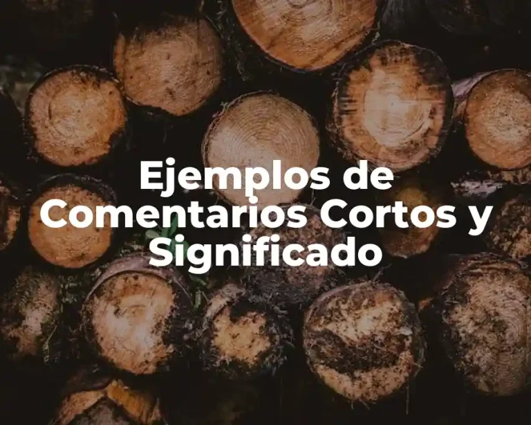 Ejemplos de Comentarios Cortos y Significado