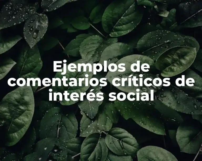 Ejemplos de comentarios críticos de interés social