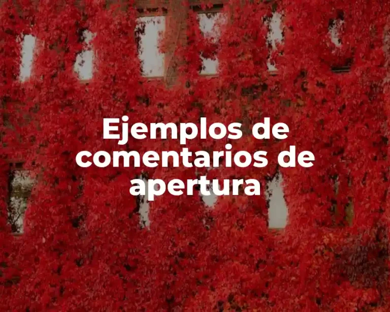 Ejemplos de comentarios de apertura
