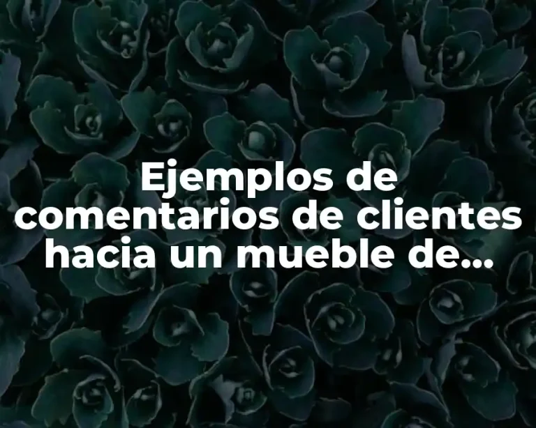 Ejemplos de comentarios de clientes hacia un mueble de sillón