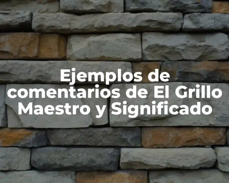 Ejemplos de comentarios de El Grillo Maestro y Significado