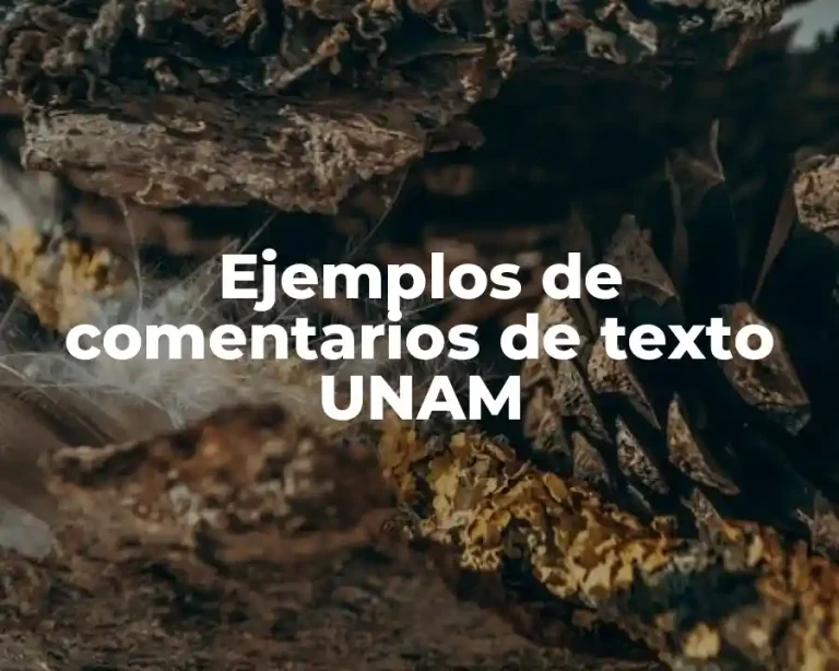 Ejemplos de comentarios de texto UNAM