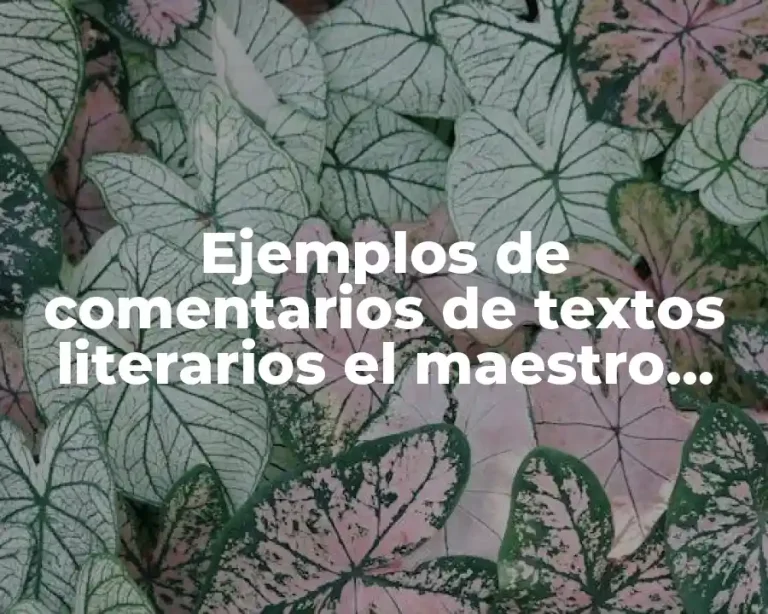 Ejemplos de comentarios de textos literarios el maestro grillo