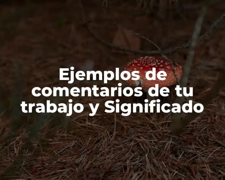 Ejemplos de comentarios de tu trabajo y Significado