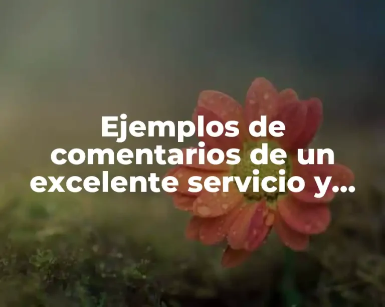 Ejemplos de comentarios de un excelente servicio y Significado