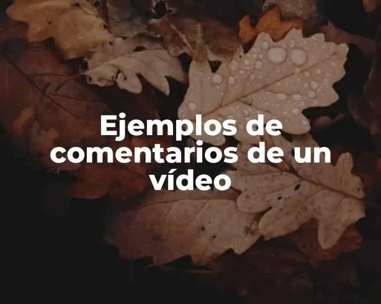 Ejemplos de comentarios de un vídeo