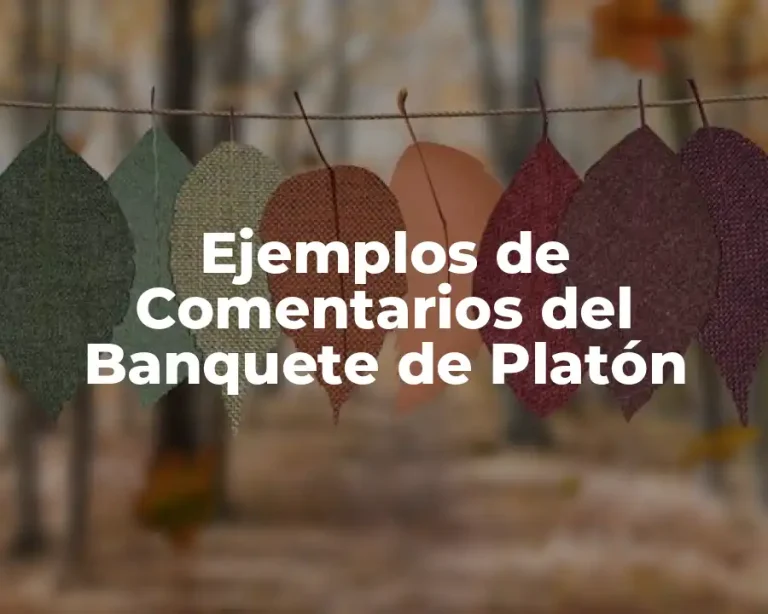 Ejemplos de Comentarios del Banquete de Platón