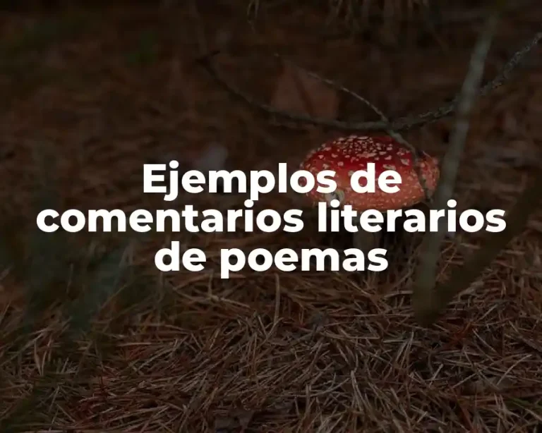 Ejemplos de comentarios literarios de poemas
