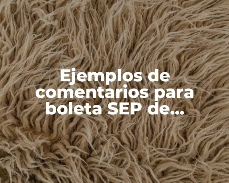 Ejemplos de comentarios para boleta SEP de preescolar