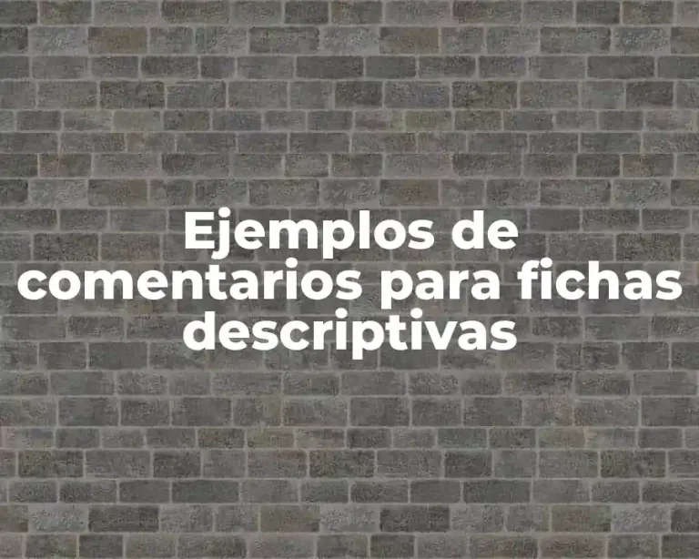 Ejemplos de comentarios para fichas descriptivas