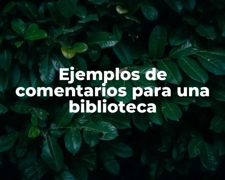 Ejemplos de comentarios para una biblioteca