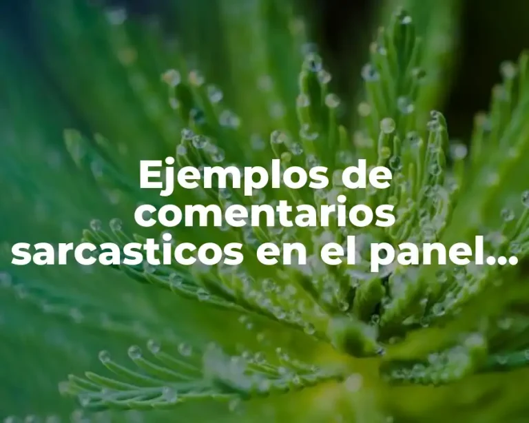 Ejemplos de comentarios sarcasticos en el panel de discusión