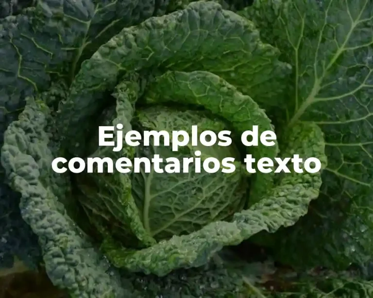 Ejemplos de comentarios texto