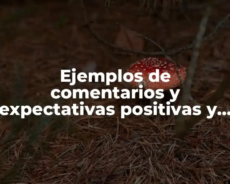 Ejemplos de comentarios y expectativas positivas y Significado