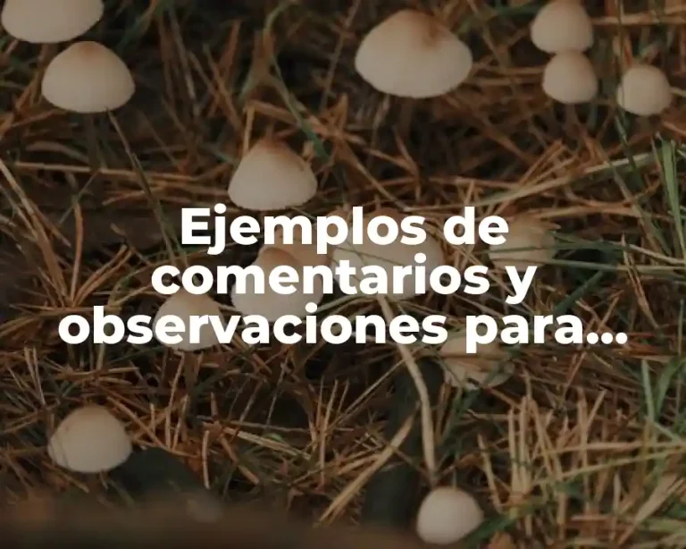 Ejemplos de comentarios y observaciones para niños de primaria