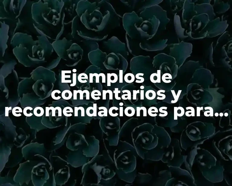 Ejemplos de comentarios y recomendaciones para boletas de inglés