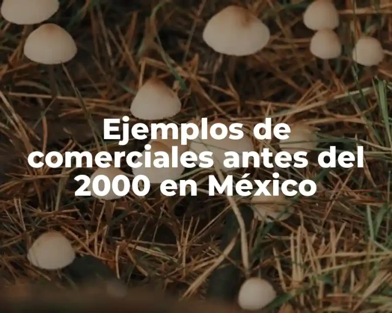 Ejemplos de comerciales antes del 2000 en México