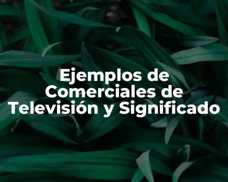 Ejemplos de Comerciales de Televisión y Significado