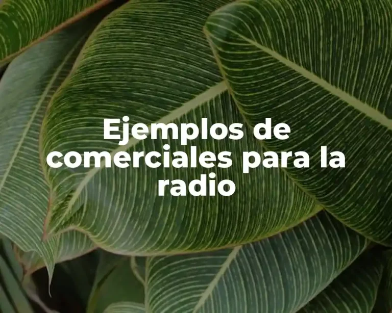 Ejemplos de comerciales para la radio