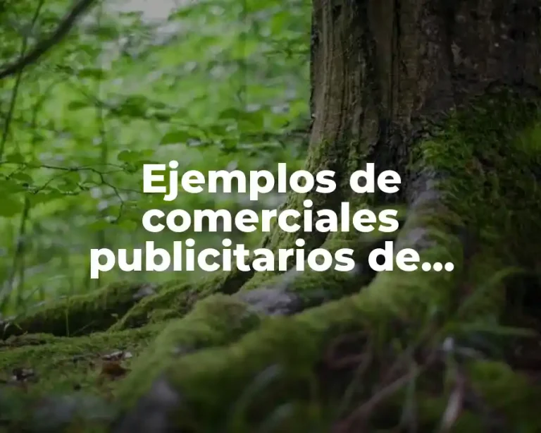 Ejemplos de comerciales publicitarios de servicios