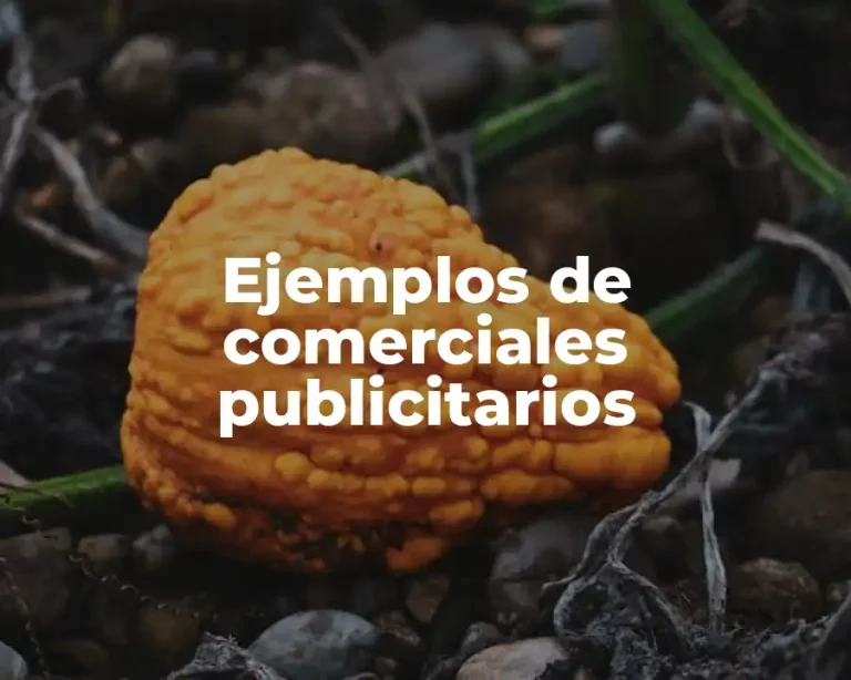 Ejemplos de comerciales publicitarios