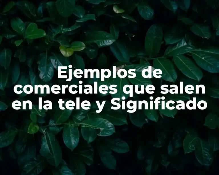 Ejemplos de comerciales que salen en la tele y Significado