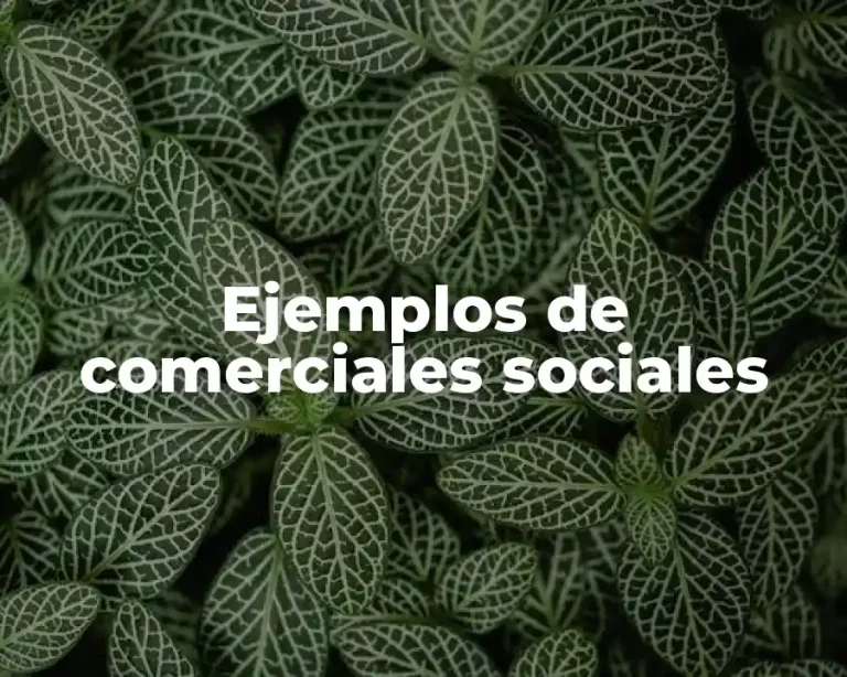 Ejemplos de comerciales sociales