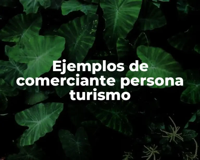 Ejemplos de comerciante persona turismo