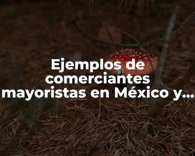 Ejemplos de comerciantes mayoristas en México y Significado