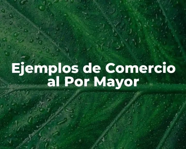 Ejemplos de Comercio al Por Mayor