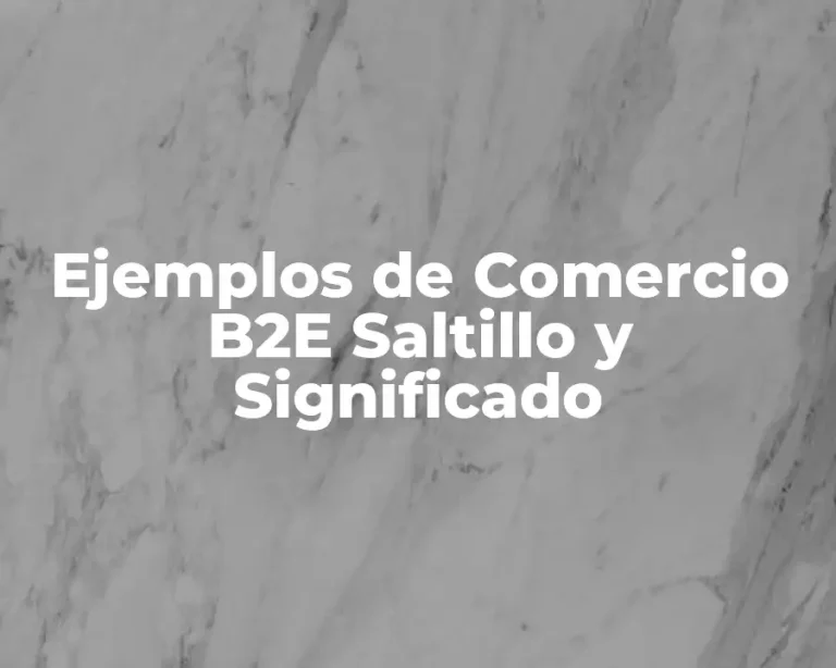 Ejemplos de Comercio B2E Saltillo y Significado