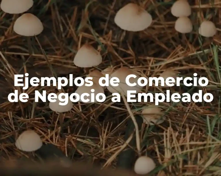Ejemplos de Comercio de Negocio a Empleado