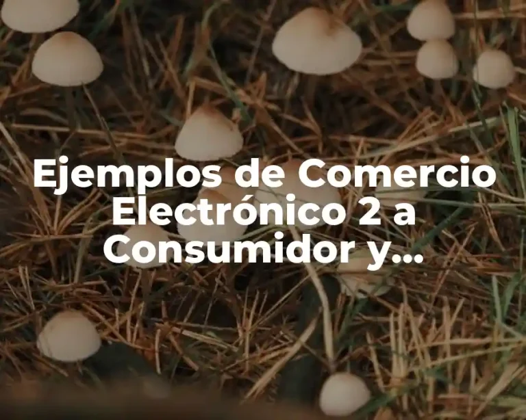 Ejemplos de Comercio Electrónico 2 a Consumidor y Significado