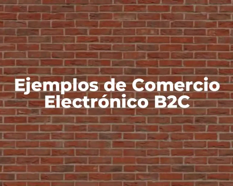 Ejemplos de Comercio Electrónico B2C