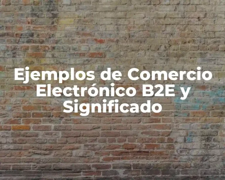 Ejemplos de Comercio Electrónico B2E y Significado