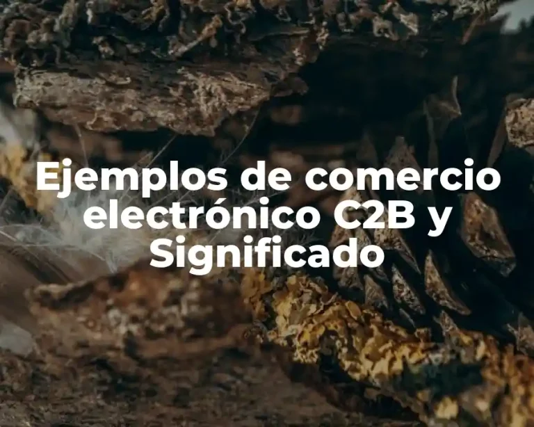 Ejemplos de comercio electrónico C2B y Significado