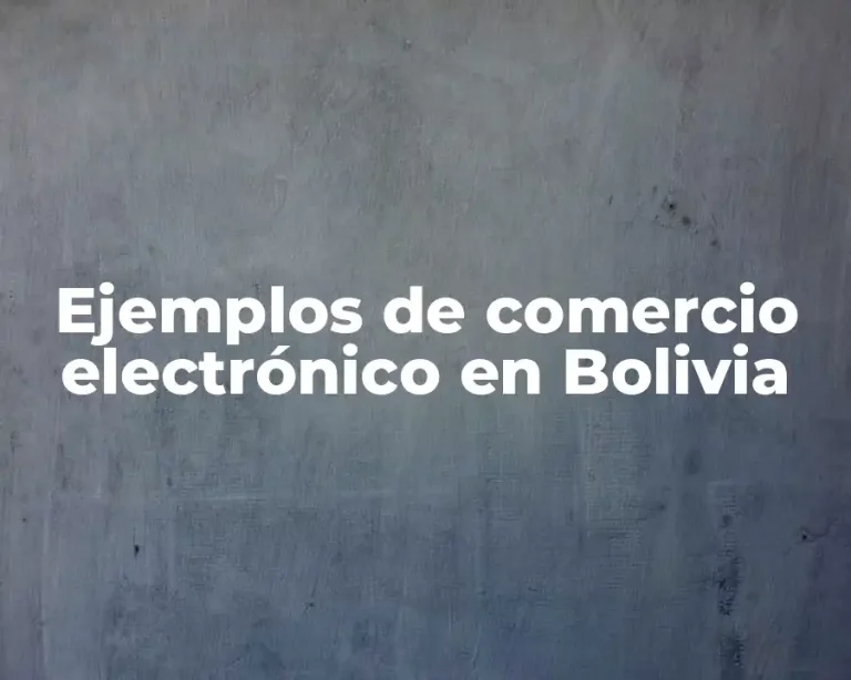 Ejemplos de comercio electrónico en Bolivia
