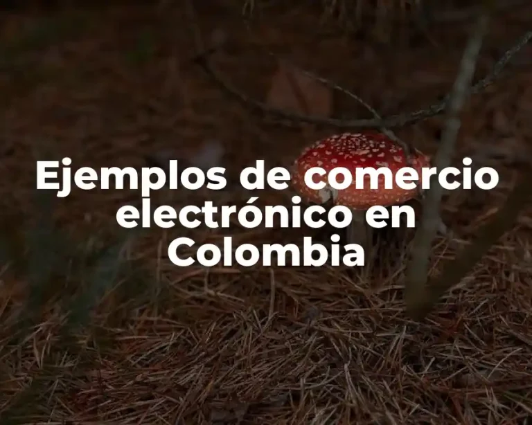 Ejemplos de comercio electrónico en Colombia