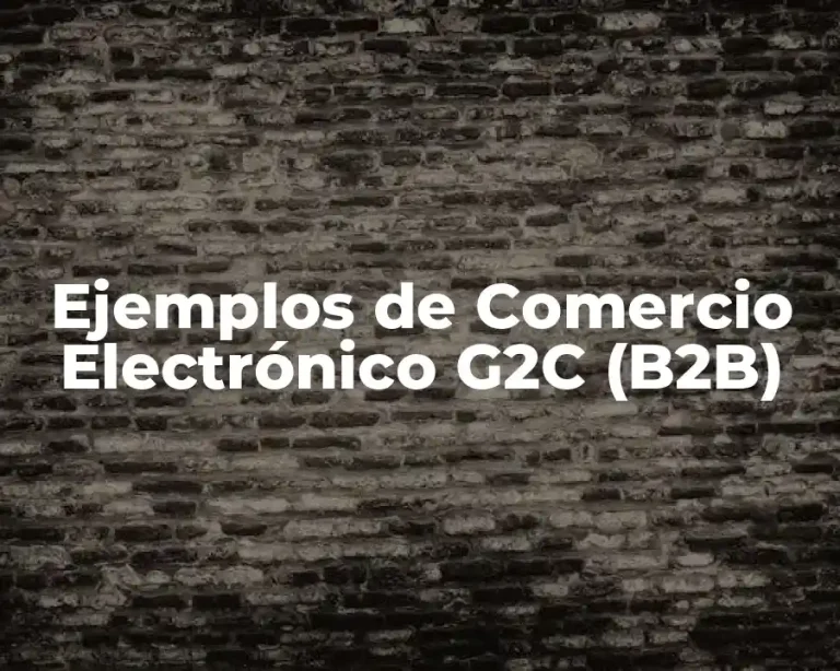 Ejemplos de Comercio Electrónico G2C (B2B)